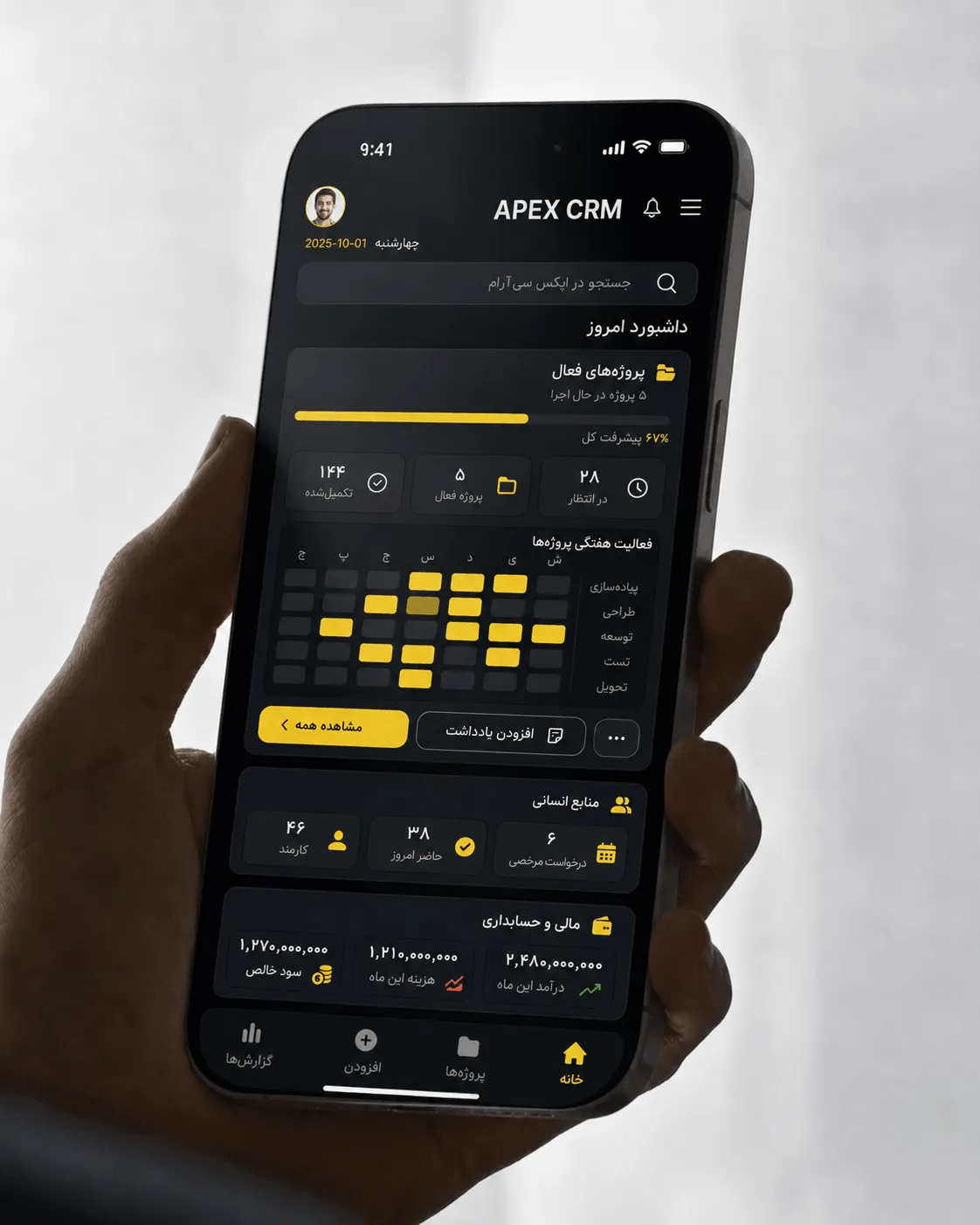 Apex ERP 4